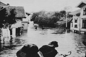 Bilde av Flom i Ruklabekken 1950